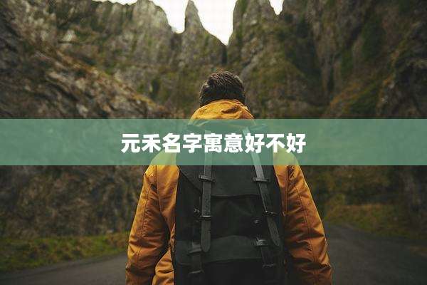 元禾名字寓意好不好