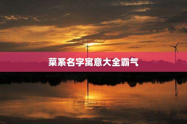 菜系名字寓意大全霸气