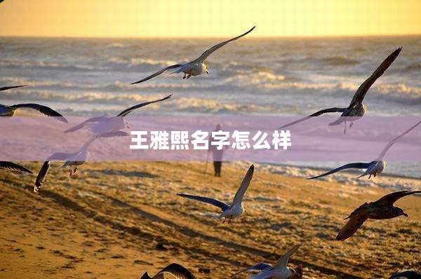 王雅熙名字怎么样