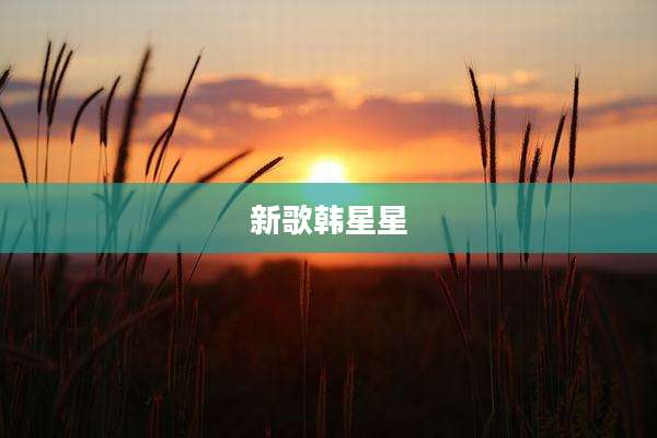 新歌韩星星