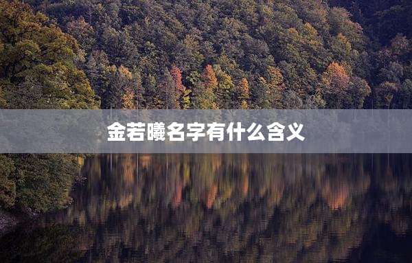 金若曦名字有什么含义