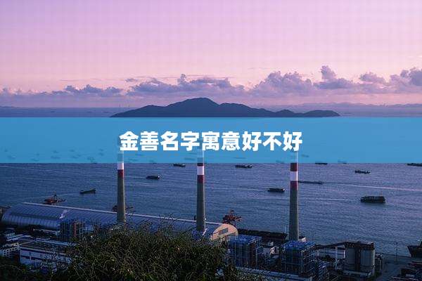 金善名字寓意好不好