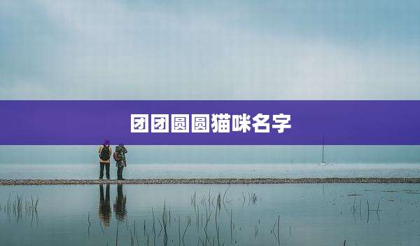 团团圆圆猫咪名字
