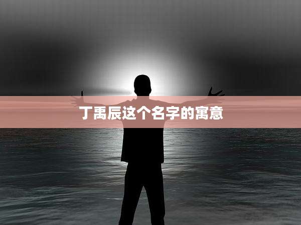 丁禹辰这个名字的寓意