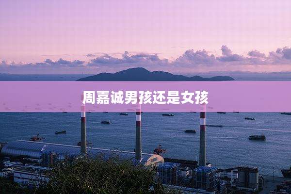周嘉诚男孩还是女孩