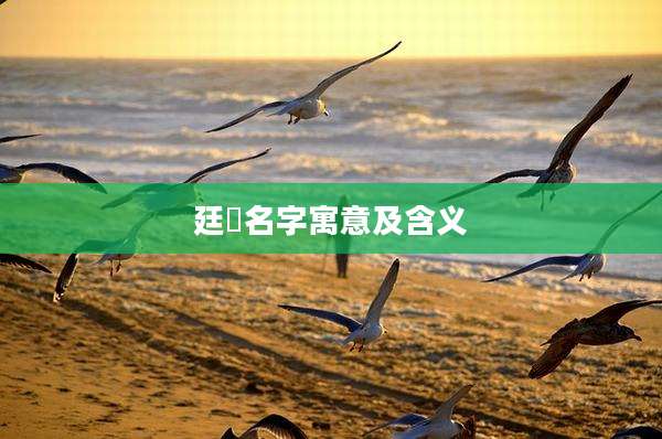 廷珺名字寓意及含义