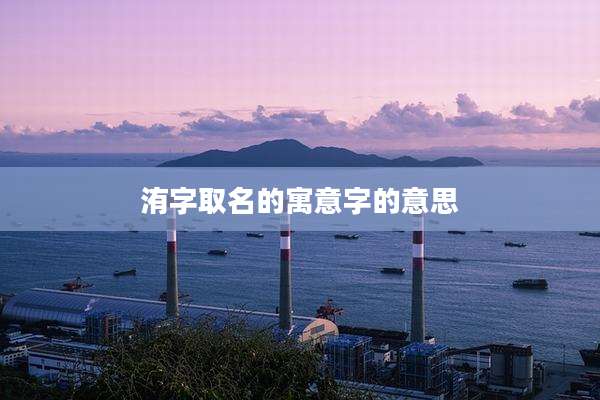 洧字取名的寓意字的意思