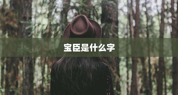 宝臣是什么字