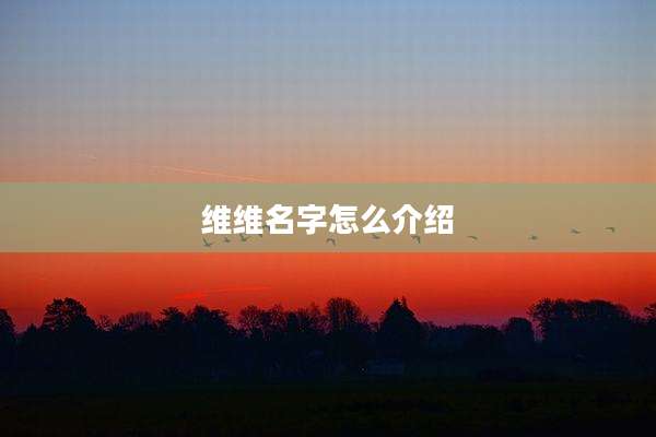 维维名字怎么介绍