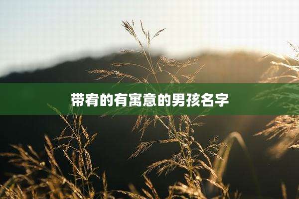 带宥的有寓意的男孩名字