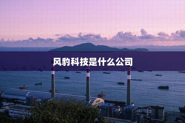 风豹科技是什么公司