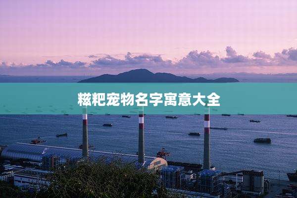 糍粑宠物名字寓意大全