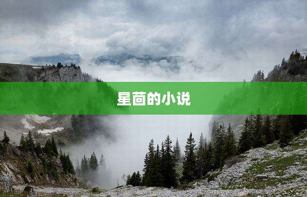 星茴的小说