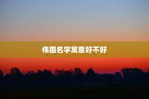 伟国名字寓意好不好