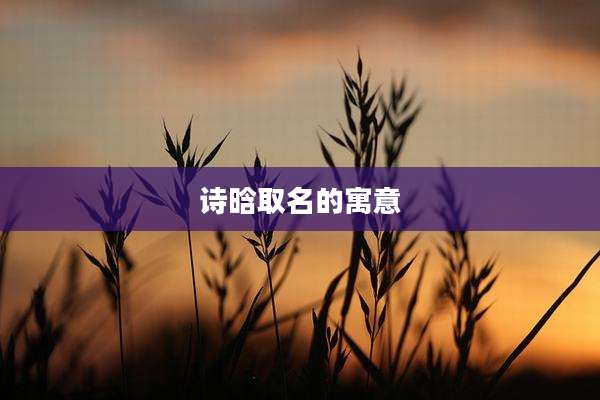 诗晗取名的寓意
