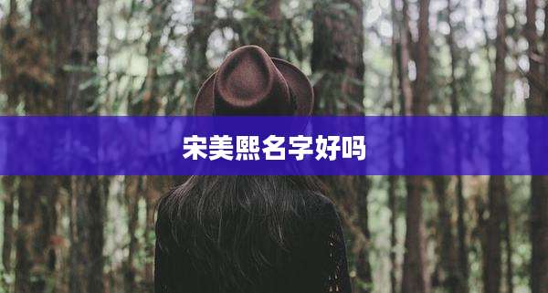宋美熙名字好吗