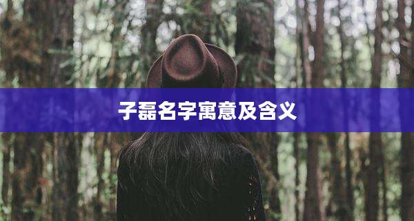 子磊名字寓意及含义