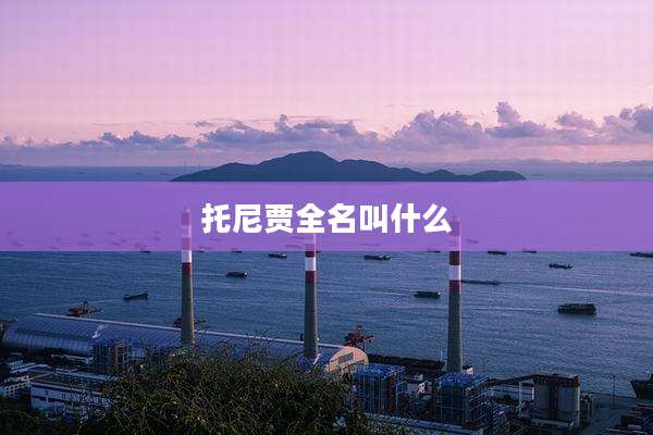 托尼贾全名叫什么