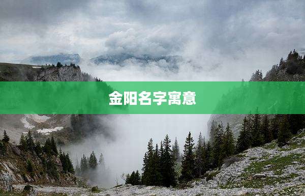 金阳名字寓意