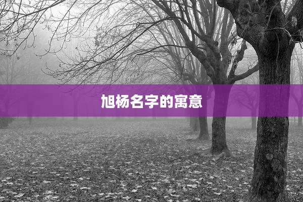 旭杨名字的寓意