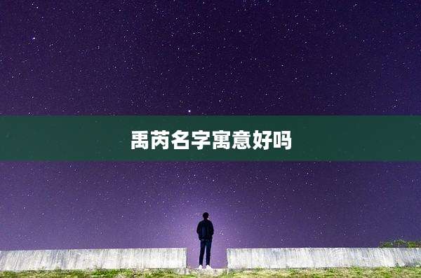 禹芮名字寓意好吗