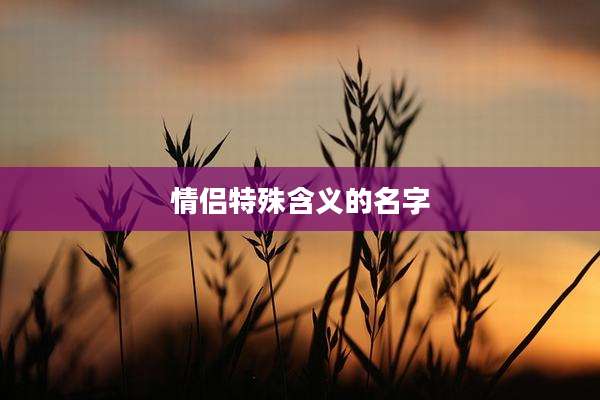 情侣特殊含义的名字