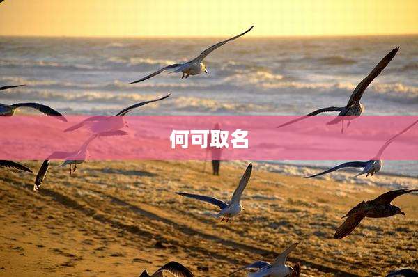 何可取名