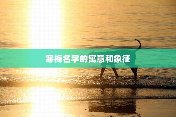 寒梅名字的寓意和象征