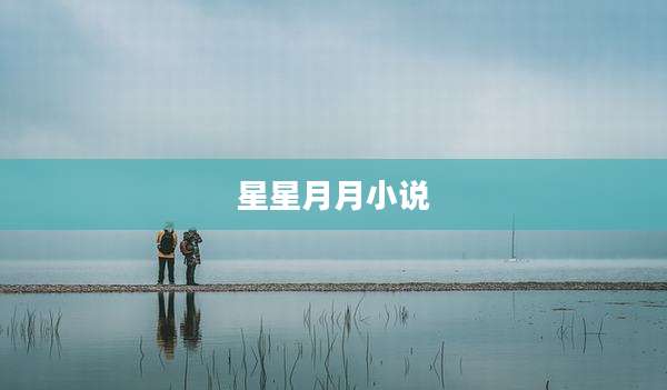 星星月月小说