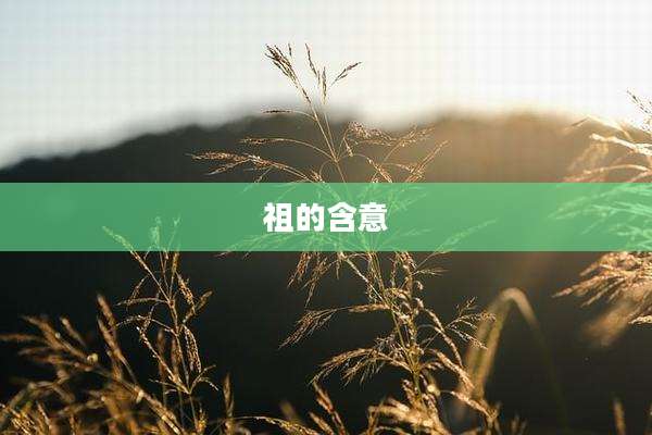 祖的含意