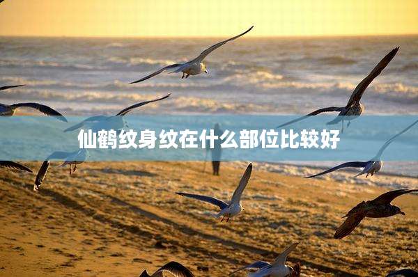 仙鹤纹身纹在什么部位比较好