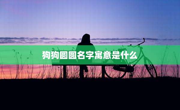 狗狗圆圆名字寓意是什么