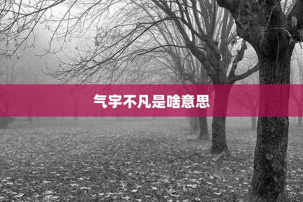 气宇不凡是啥意思