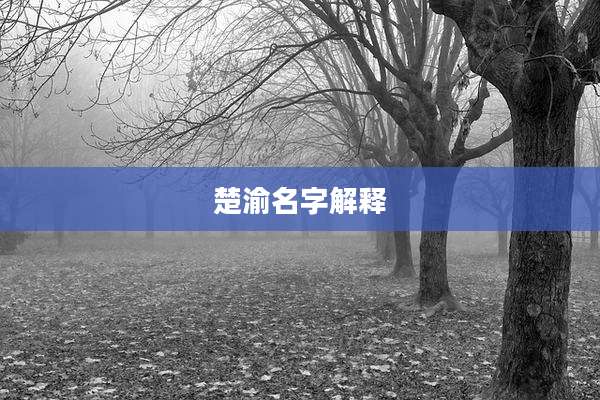 楚渝名字解释