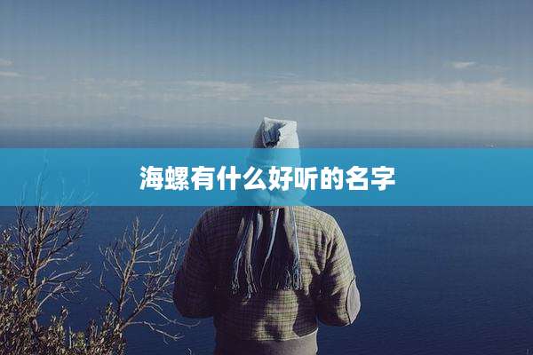 海螺有什么好听的名字