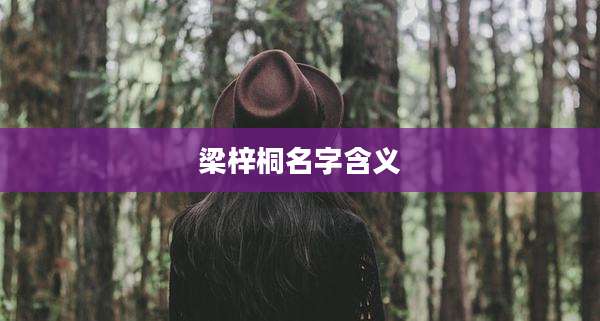 梁梓桐名字含义