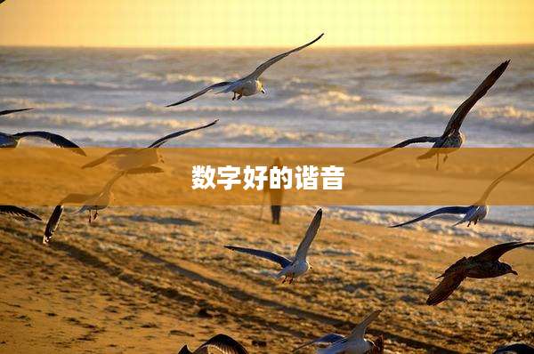 数字好的谐音