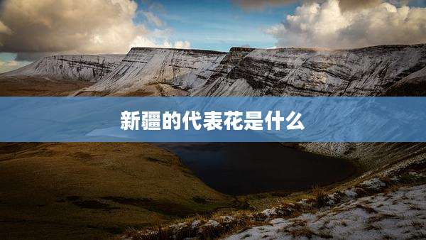 新疆的代表花是什么