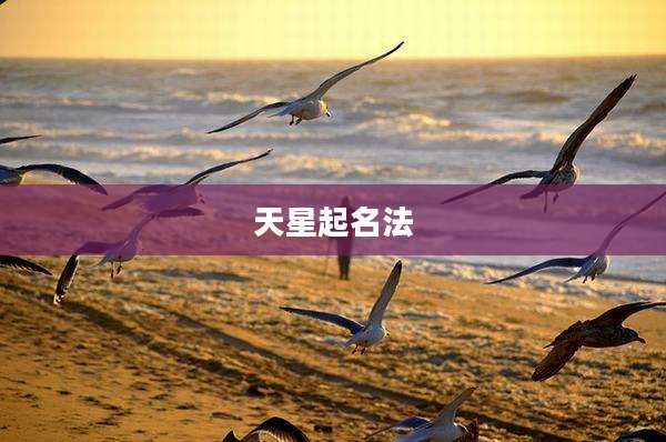 天星起名法