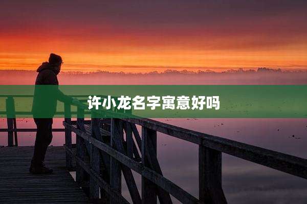 许小龙名字寓意好吗