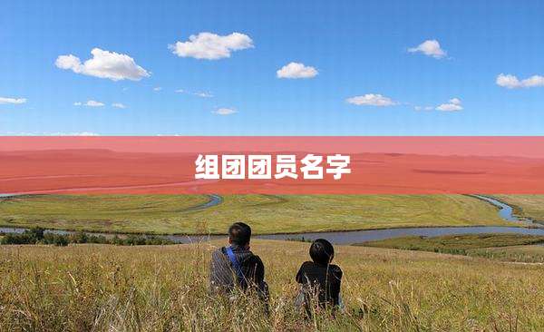 组团团员名字