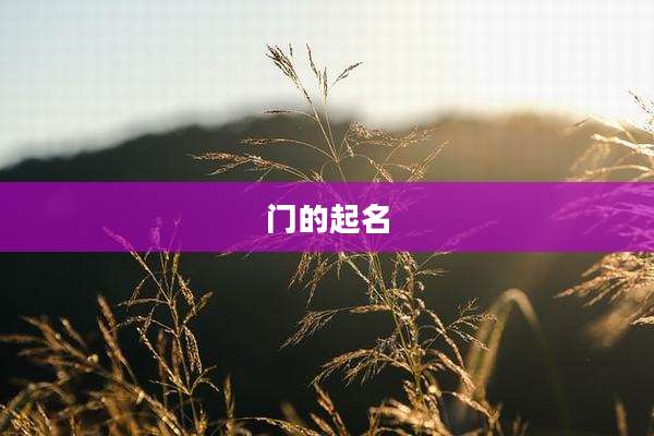 门的起名