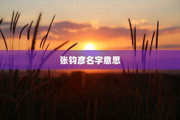 张钧彦名字意思