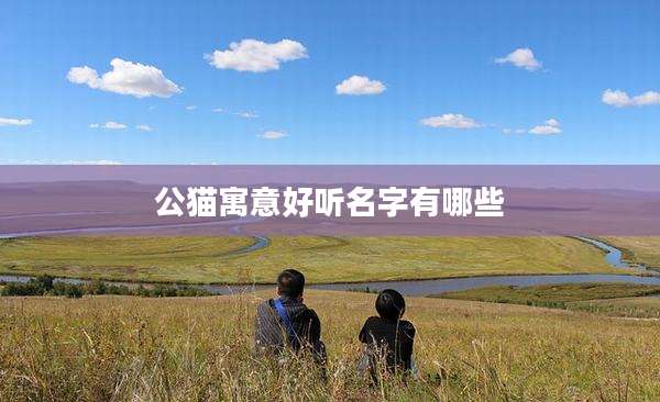公猫寓意好听名字有哪些