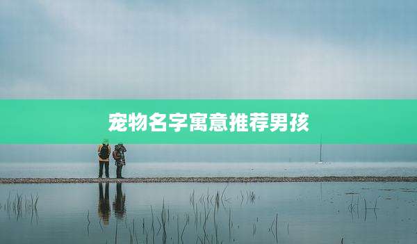 宠物名字寓意推荐男孩