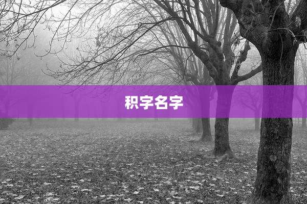 积字名字