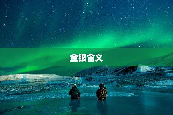 金银含义