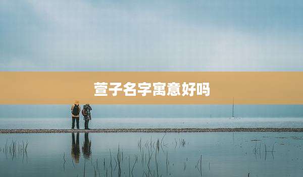 萱子名字寓意好吗