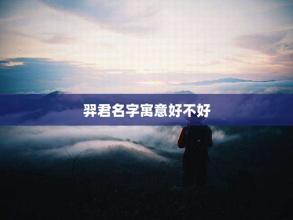 羿君名字寓意好不好