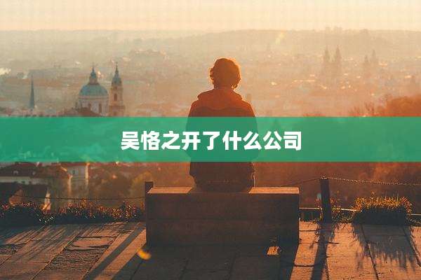 吴恪之开了什么公司